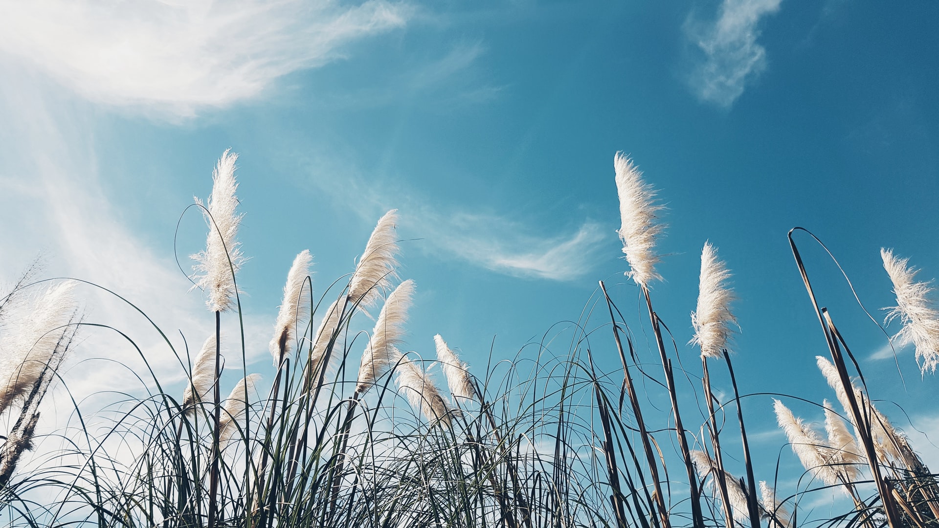 Air Quality Assessment planning